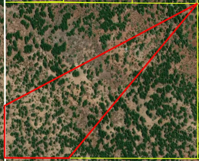 Forest Road 157, Ramah, NM 87321