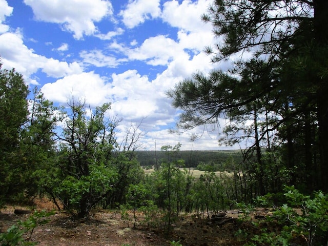Forest Road 157, Ramah, NM 87321