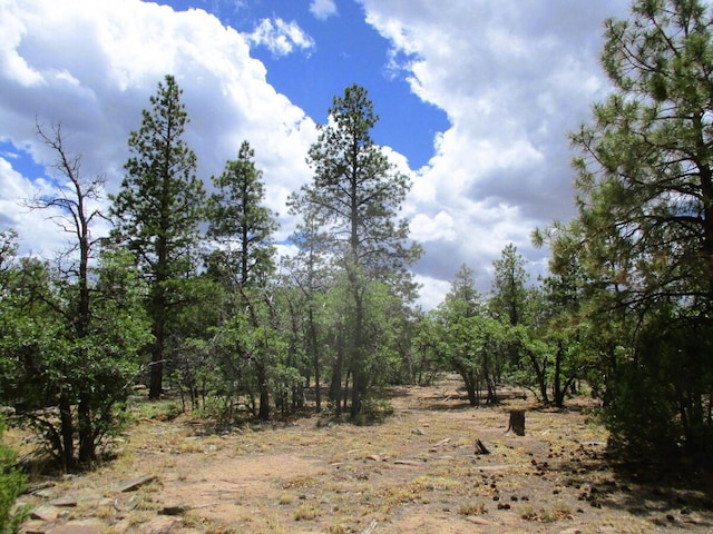 Forest Road 157, Ramah, NM 87321