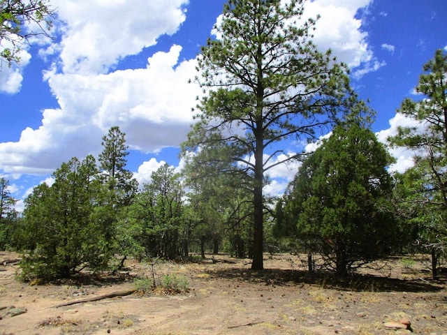 Forest Road 157, Ramah, NM 87321