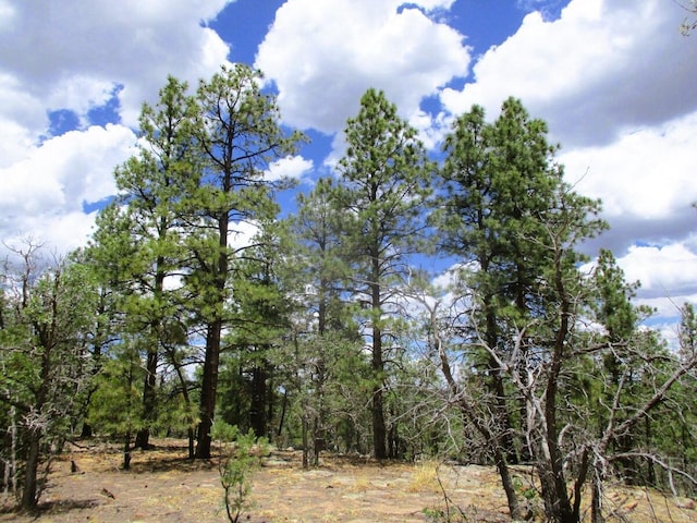 Forest Road 157, Ramah, NM 87321