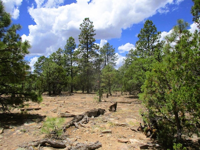 Forest Road 157, Ramah, NM 87321