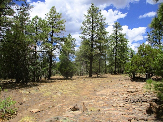 Forest Road 157, Ramah, NM 87321