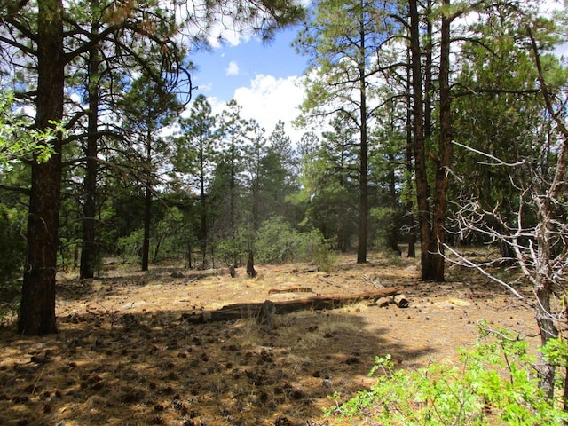 Forest Road 157, Ramah, NM 87321