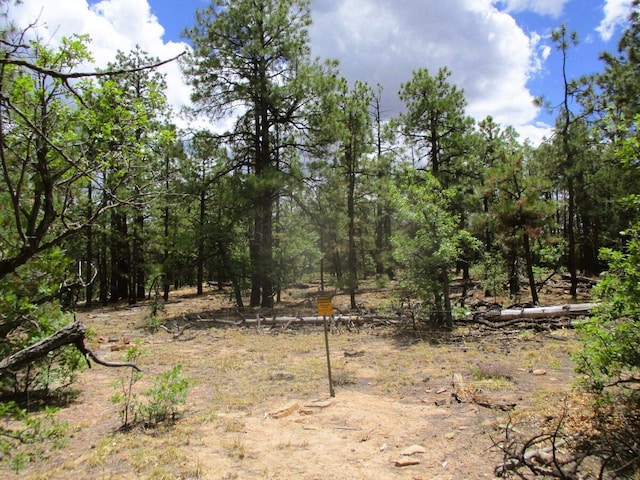 Forest Road 157, Ramah, NM 87321