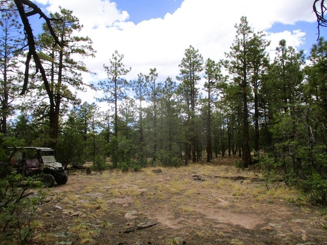 Forest Road 157, Ramah, NM 87321