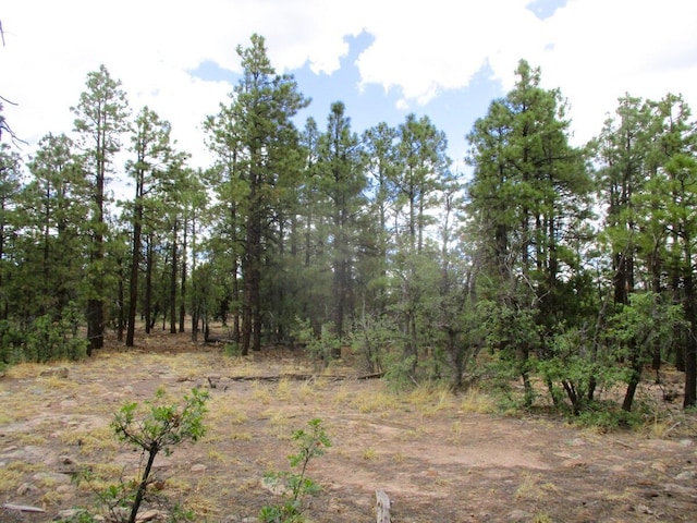Forest Road 157, Ramah, NM 87321