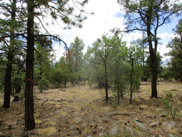 Forest Road 157, Ramah, NM 87321
