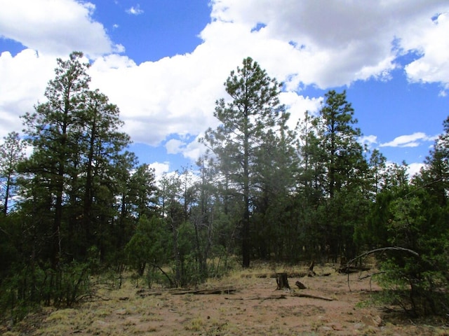 Forest Road 157, Ramah, NM 87321
