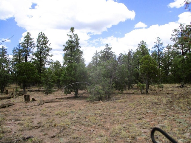 Forest Road 157, Ramah, NM 87321