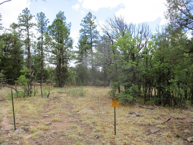 Forest Road 157, Ramah, NM 87321