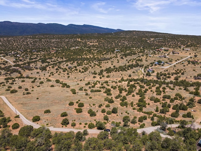 19 Sandia View Ct, Tijeras, NM 87059 - photo 28
