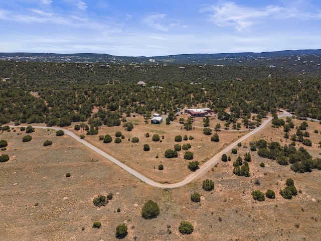 19 Sandia View Ct, Tijeras, NM 87059 - photo 5