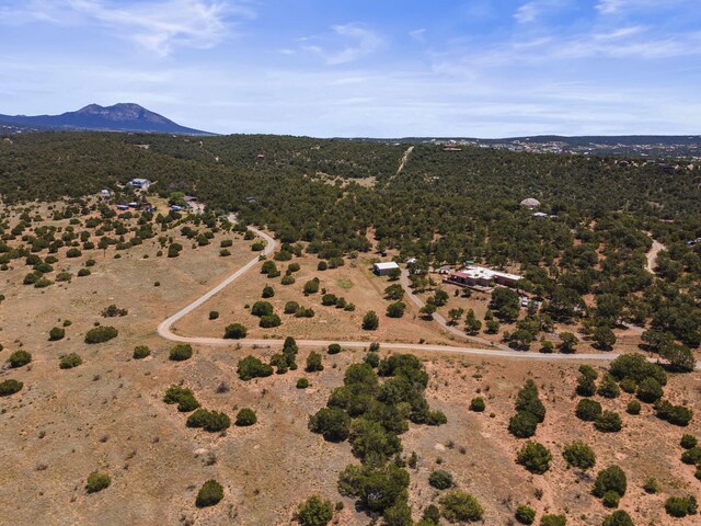 19 Sandia View Ct, Tijeras, NM 87059 - photo 21