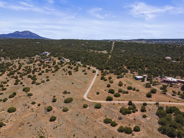 19 Sandia View Ct, Tijeras, NM 87059 - photo 20