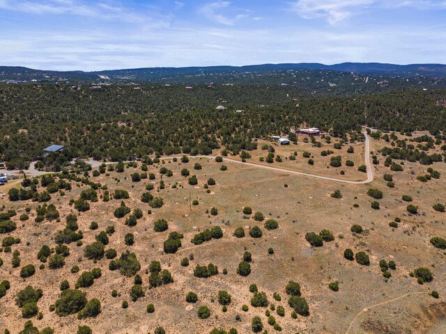 19 Sandia View Ct, Tijeras, NM 87059 - photo 17