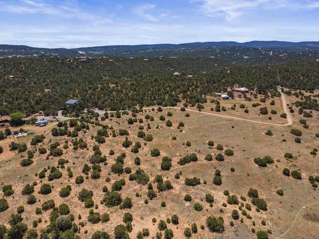 19 Sandia View Ct, Tijeras, NM 87059 - photo 16