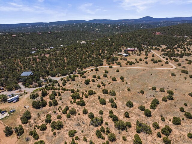 19 Sandia View Ct, Tijeras, NM 87059 - photo 15