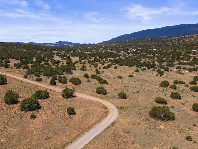 19 Sandia View Ct, Tijeras, NM 87059 - photo 11
