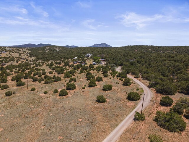 19 Sandia View Ct, Tijeras, NM 87059 - photo 10