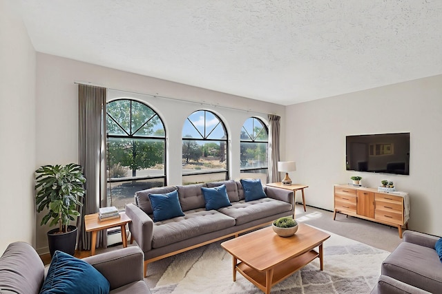 5207 Russell Dr NW, Albuquerque, NM 87114 - living room featuring light carpet and a textured ceiling
