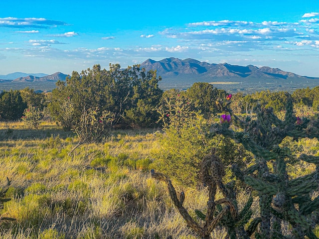 90 Vista La Madera, Sandia Park, NM 87047 - photo 3