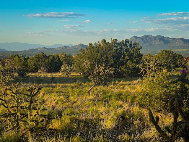 90 Vista La Madera, Sandia Park, NM 87047 - photo 4