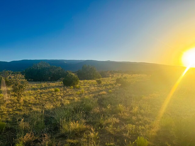 90 Vista La Madera, Sandia Park, NM 87047 - photo 8