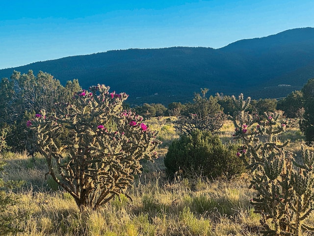 90 Vista La Madera, Sandia Park, NM 87047 - photo 9