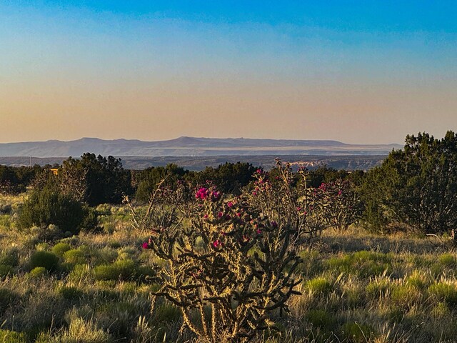 90 Vista La Madera, Sandia Park, NM 87047 - photo 10