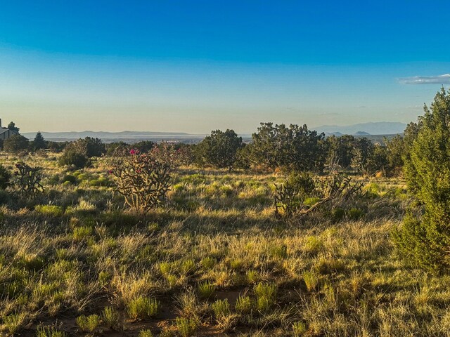 90 Vista La Madera, Sandia Park, NM 87047 - photo 11