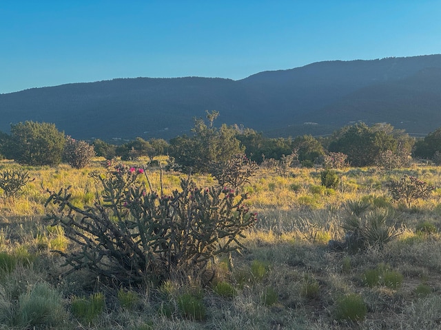 90 Vista La Madera, Sandia Park, NM 87047 - photo 15