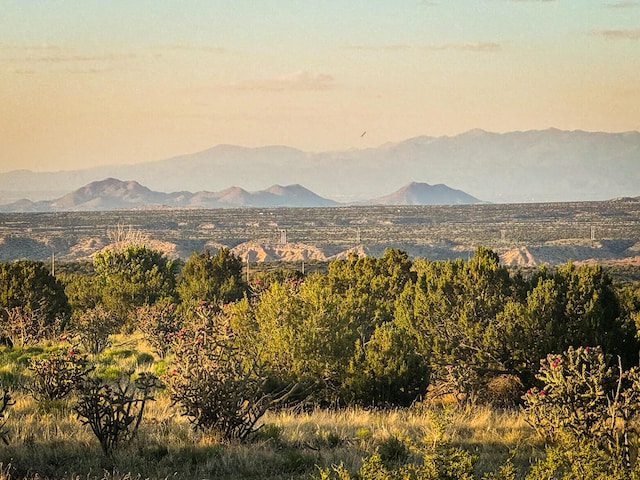 90 Vista La Madera, Sandia Park, NM 87047 - photo 17