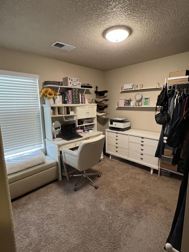 839 Serrano Pointe NW, Albuquerque, NM 87120 - bedroom featuring carpet flooring and a textured ceiling