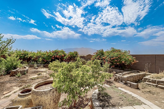 1128 San Augustin Dr, Bernalillo, NM 87004 - view of yard featuring a vegetable garden and a mountain view
