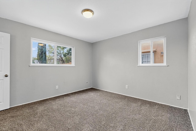 1509 Muriel St NE, Albuquerque, NM 87112 - photo 24