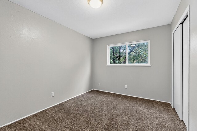 1509 Muriel St NE, Albuquerque, NM 87112 - photo 28