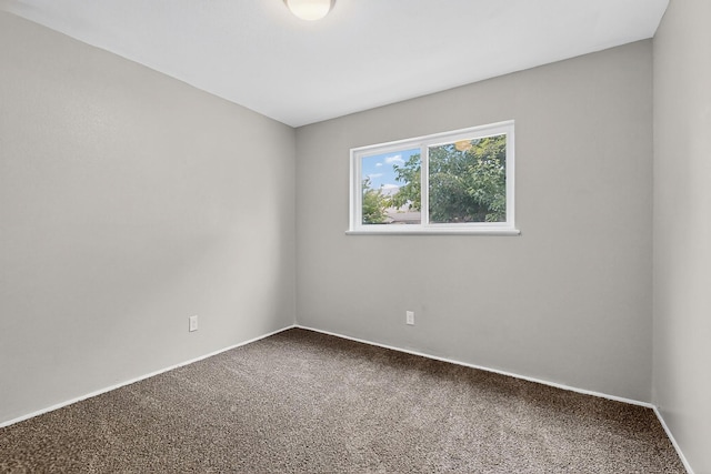 1509 Muriel St NE, Albuquerque, NM 87112 - photo 31
