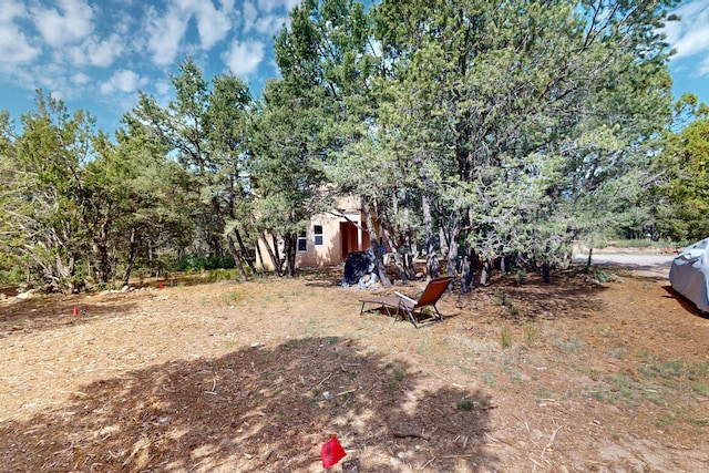 19 Villa Del Monte Loop, Tijeras, NM 87059 - view of yard
