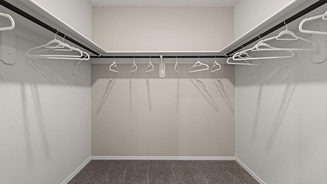 5627 Sagan Loop SE, Albuquerque, NM 87106 - spacious closet featuring carpet