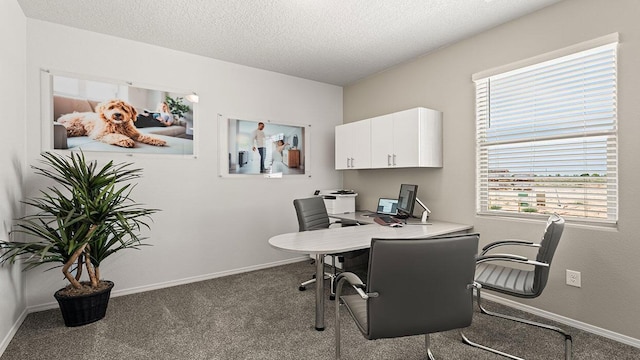 5627 Sagan Loop SE, Albuquerque, NM 87106 - office featuring carpet and a textured ceiling