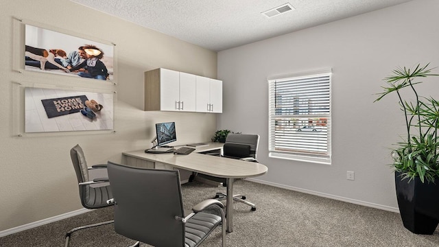 5627 Sagan Loop SE, Albuquerque, NM 87106 - office space with carpet floors and a textured ceiling