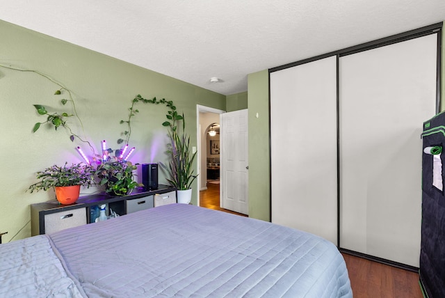 6404 Gambel Quail Rd NE, Rio Rancho, NM 87144 - bedroom with wood finished floors, a closet, and a textured ceiling