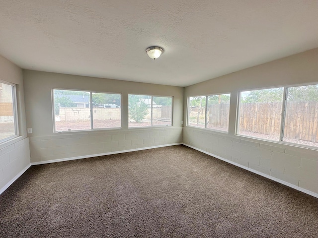 213 Green Valley Rd NW, Los Ranchos, NM 87107 - unfurnished sunroom with healthy amount of natural light, carpet floors, and a textured ceiling