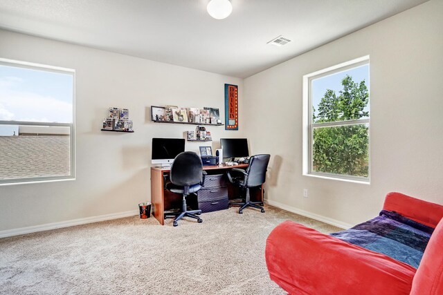 1701 Chisholm Trl NE, Rio Rancho, NM 87144 - photo 22