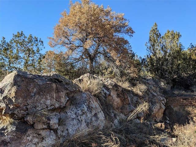 626 County Road B36, Ribera, NM 87560 - photo 1