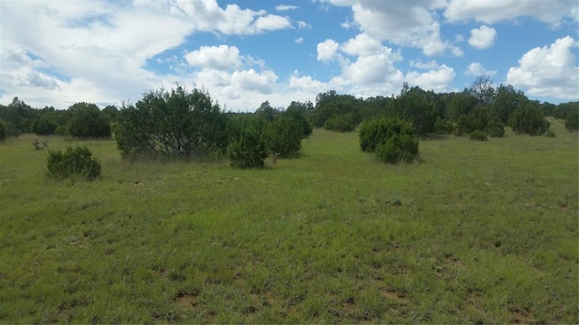 626 County Road B36, Ribera, NM 87560 - photo 18