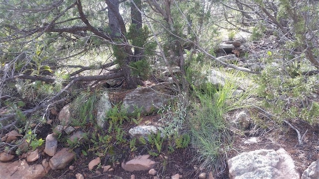 626 County Road B36, Ribera, NM 87560 - photo 17