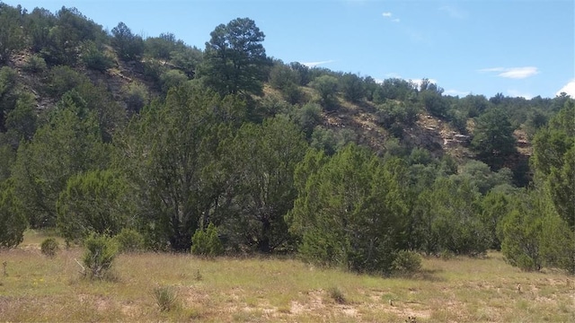 626 County Road B36, Ribera, NM 87560 - photo 15