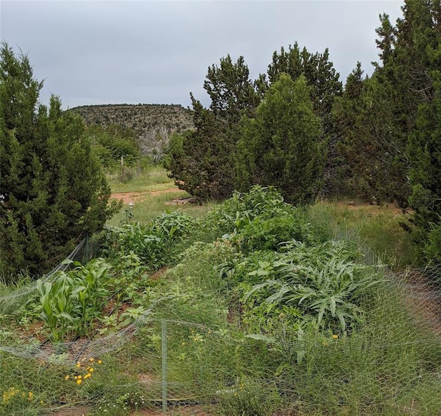 626 County Road B36, Ribera, NM 87560 - photo 13